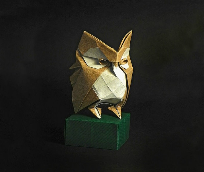 origami foto 8