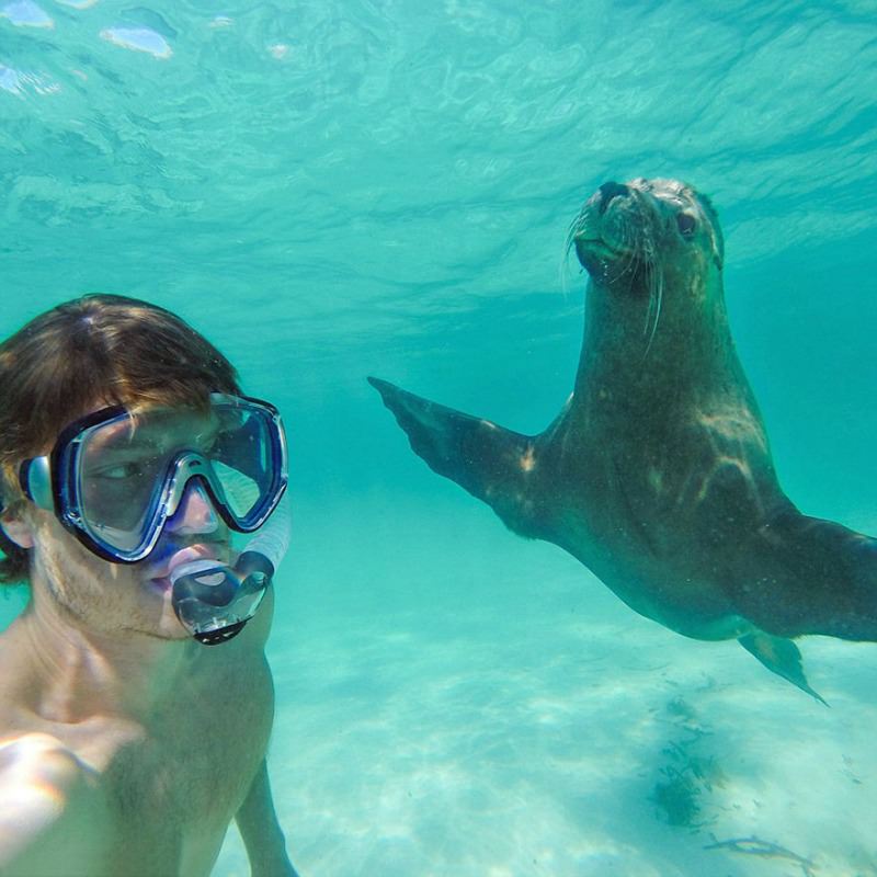 Selfies con animales foto 10