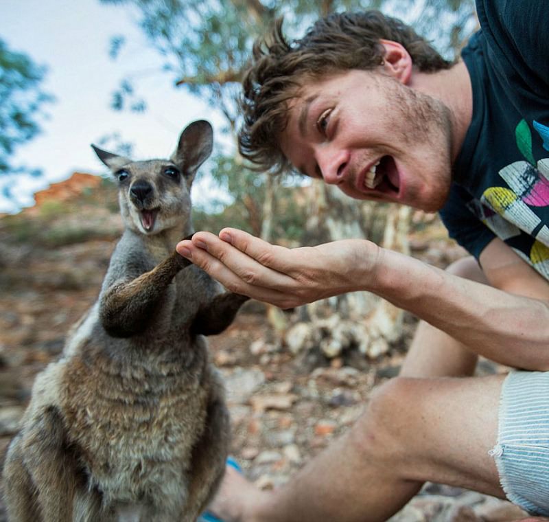 Selfies con animales foto 11