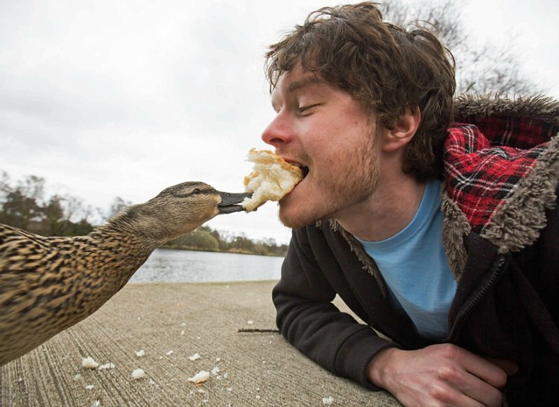 Selfies con animales foto 6