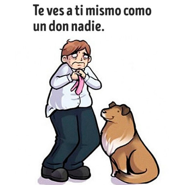 Como nos ven las mascotas foto 5