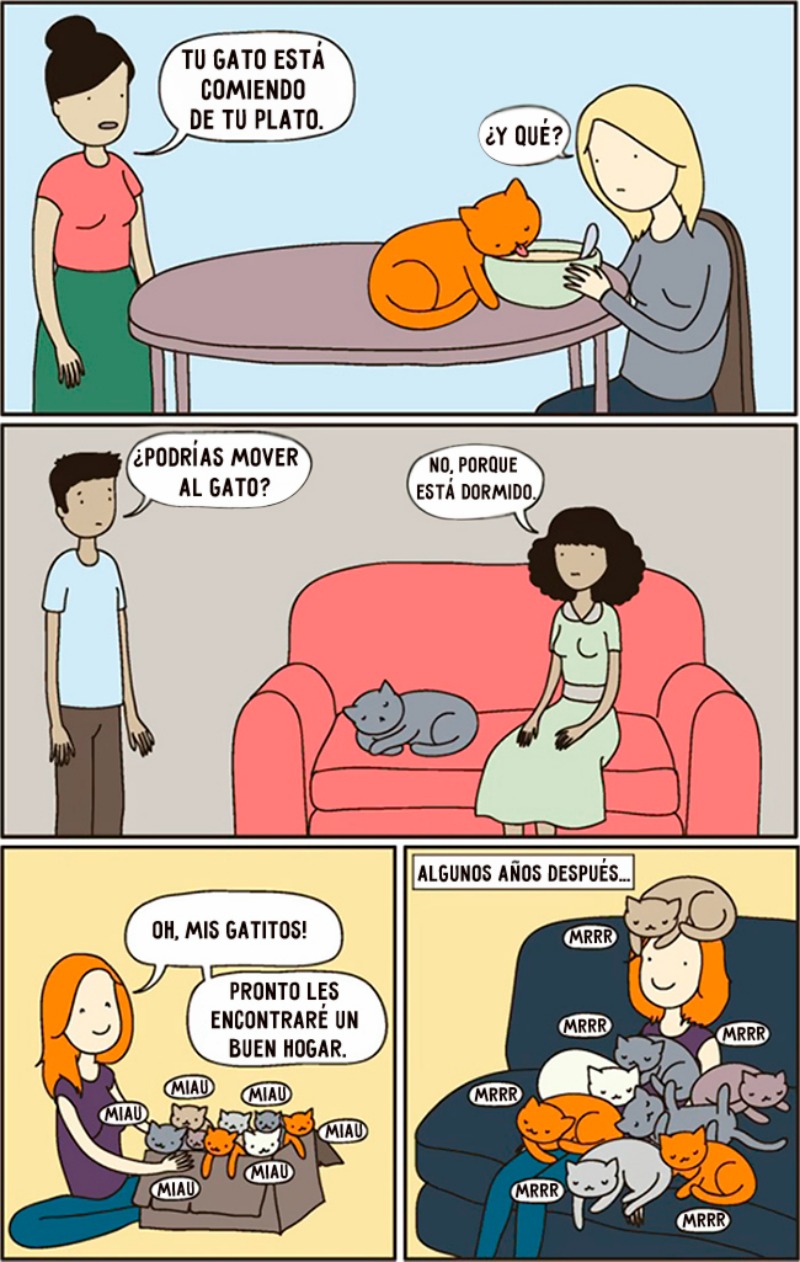 La vida con gatos foto 4