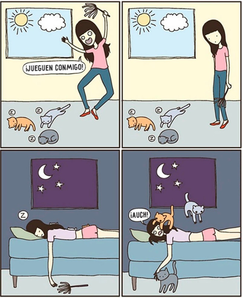 La vida con gatos foto 5