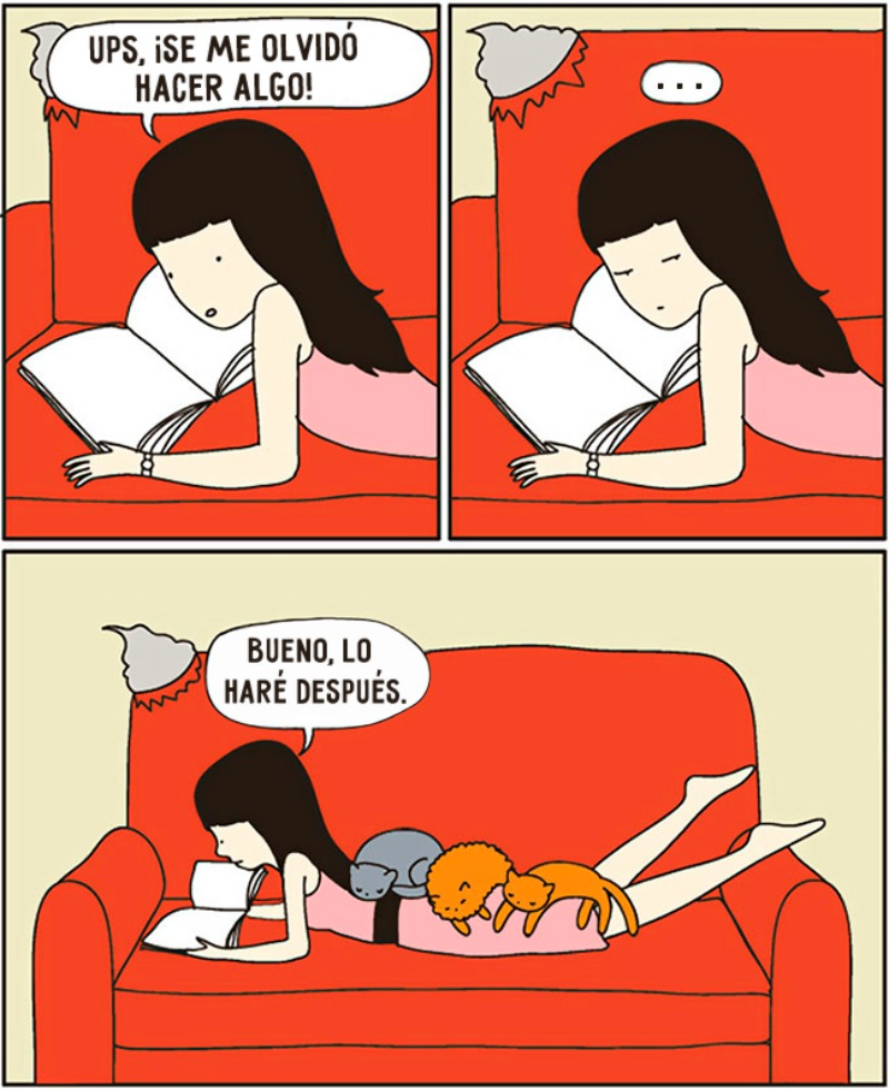 La vida con gatos foto 9