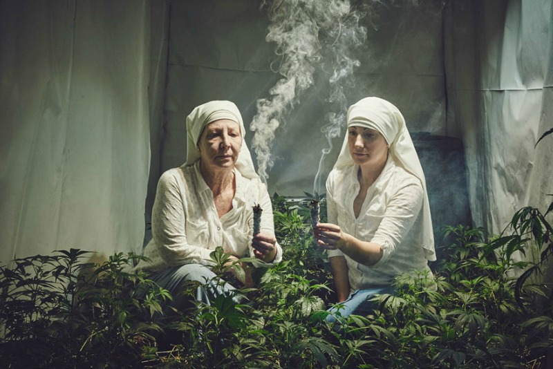 Monjas que cultivan marihuana 1