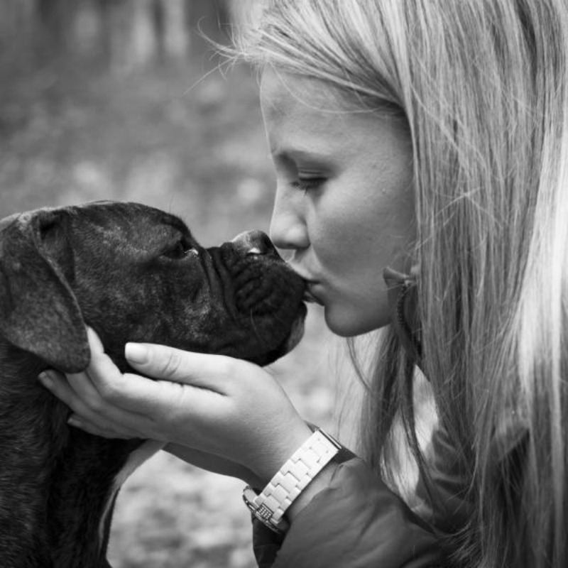 Permisos por la muerte de una mascota foto 1