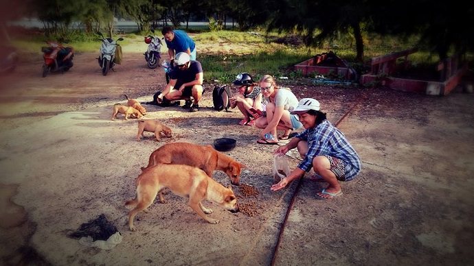 Perro rescatado en Tailandia foto 2