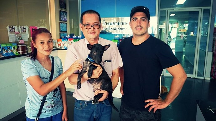 Perro rescatado en Tailandia foto 9