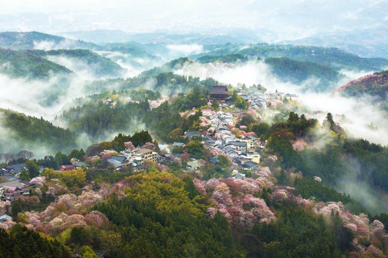 Primavera en Japon foto 3