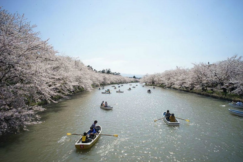 Primavera en Japon foto 5