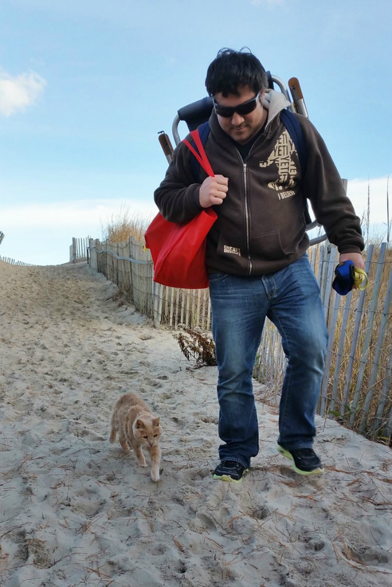 rescate de gatos abandonados 7