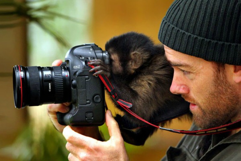 Animales fotografos 1