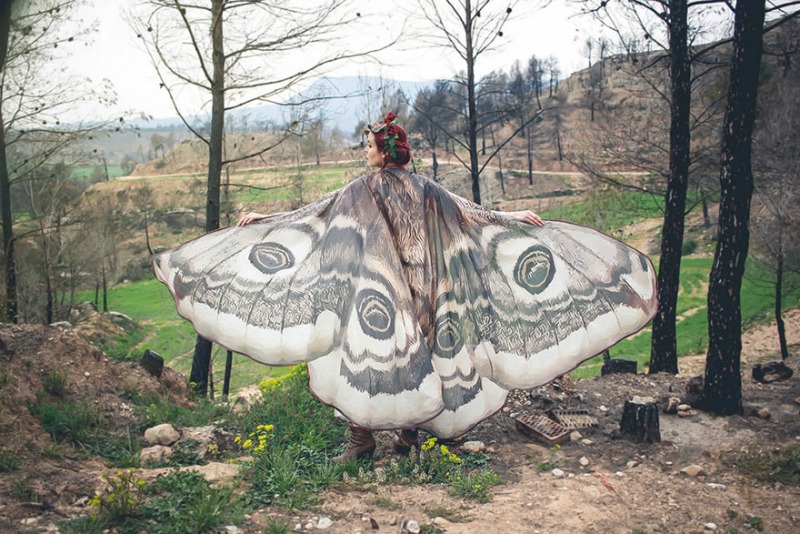 Capas de mariposas 1