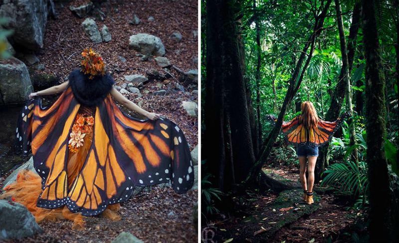 Capas de mariposas 4