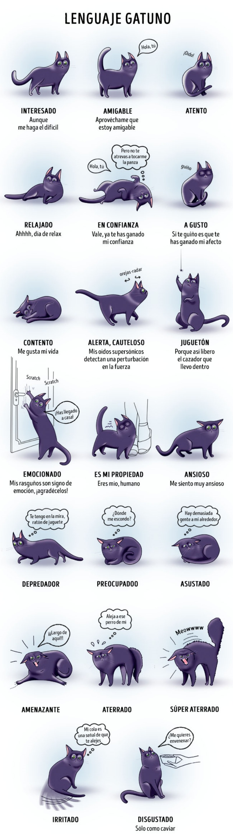 El lenguaje gatuno 1