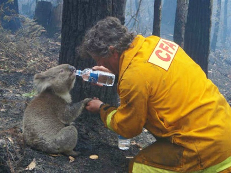 Bomberos arriesgando sus vidas 1