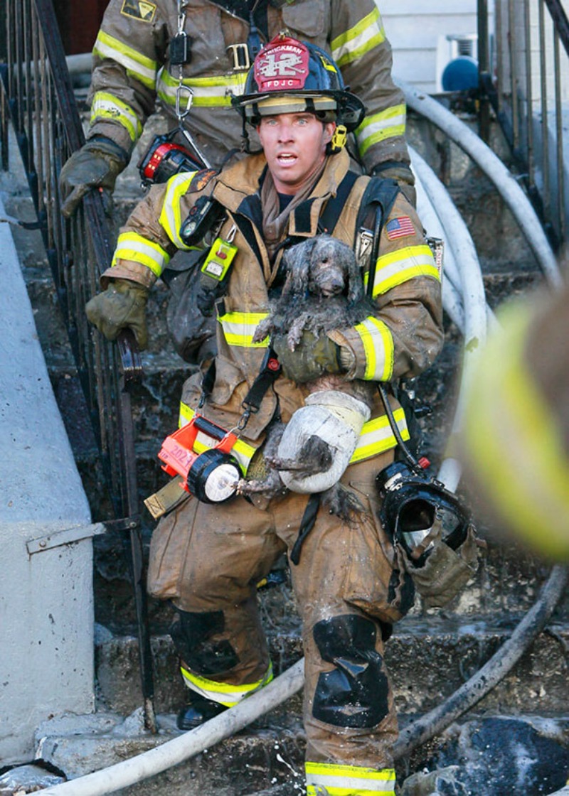 Bomberos arriesgando sus vidas 9