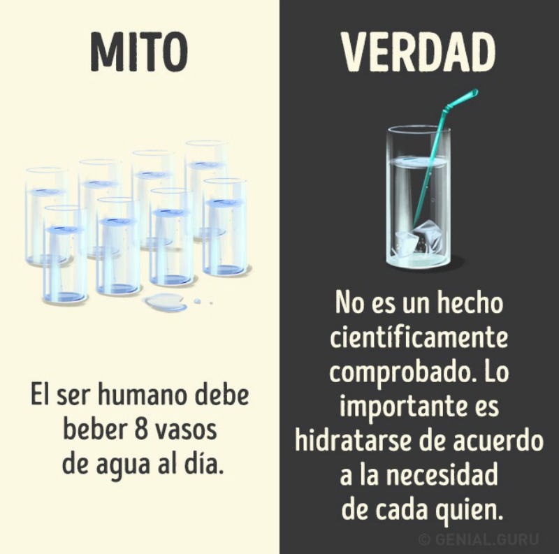 Bebidas y mitos 10