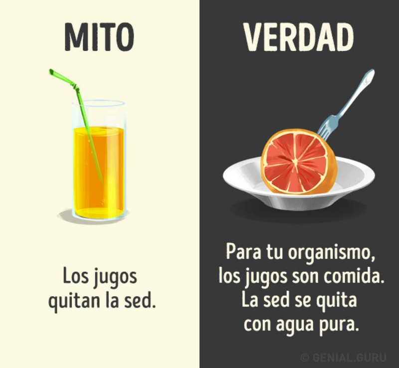 Bebidas y mitos 11