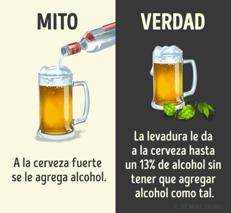 Bebidas y mitos 7