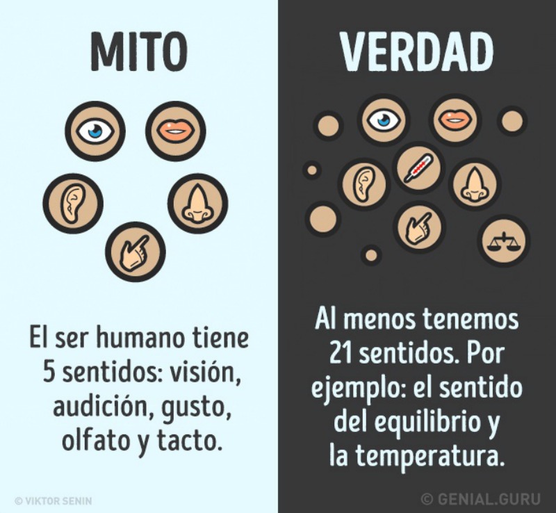 Mitos del cuerpo humano 5