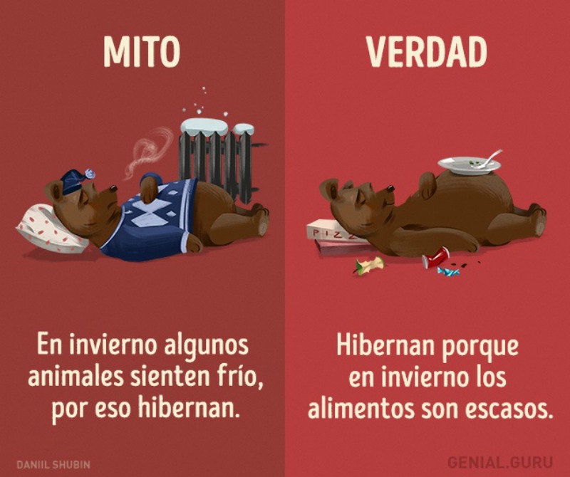 Mitos sobre los animales 13