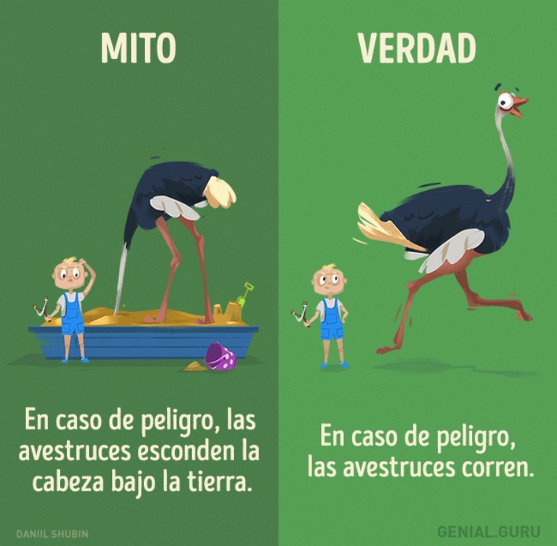 Mitos sobre los animales 3