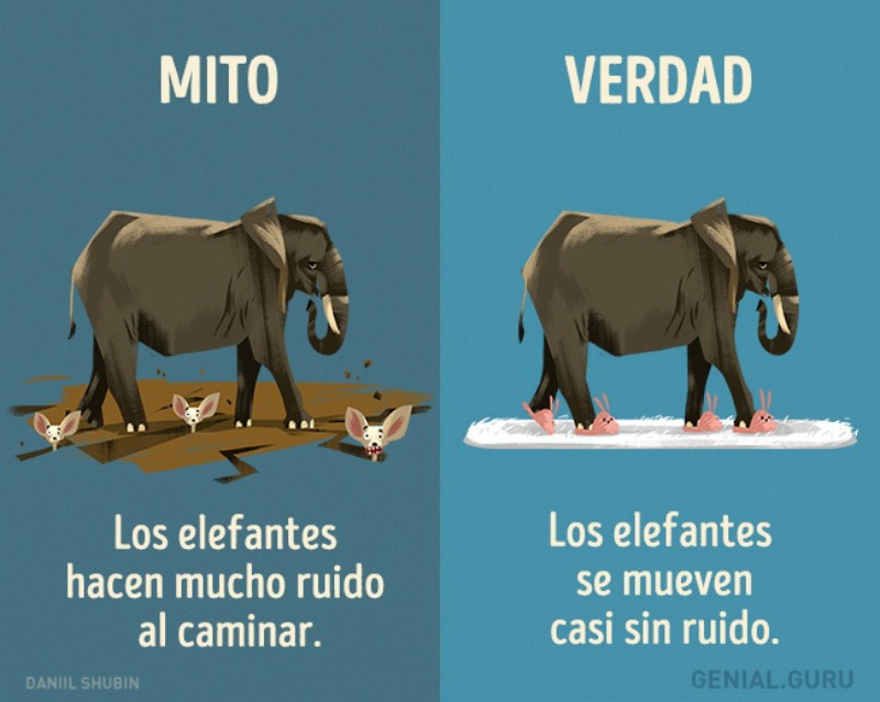 Mitos sobre los animales 6