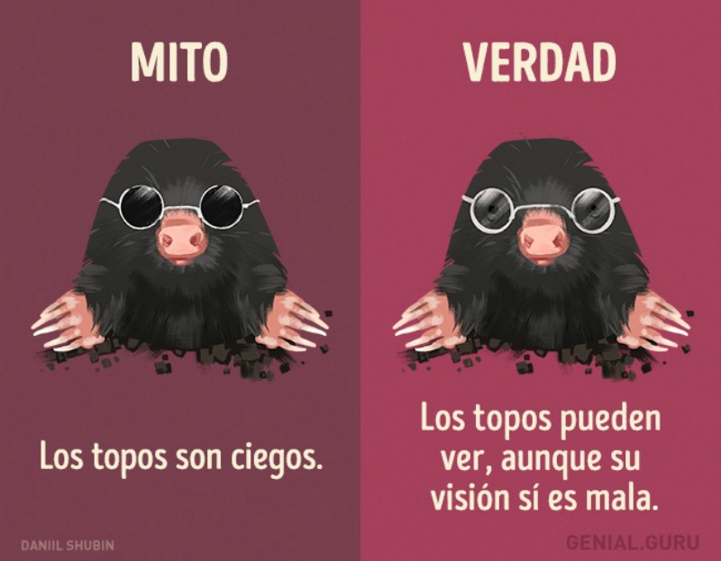 Mitos sobre los animales 8