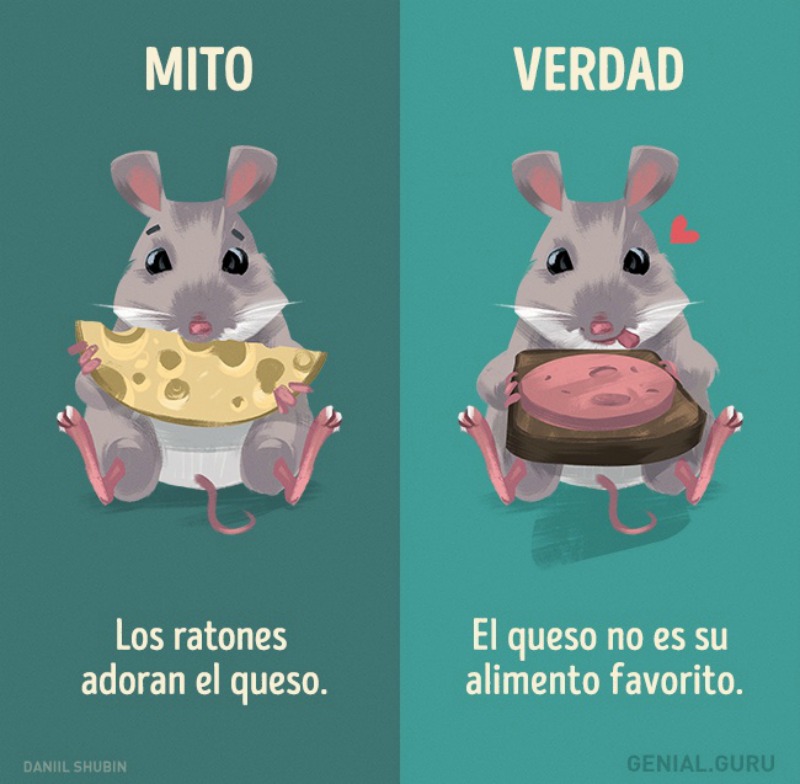 Mitos sobre los animales 9