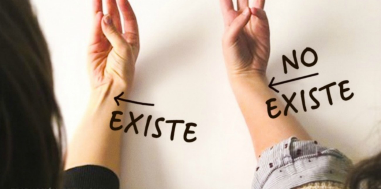 evolucion foto1