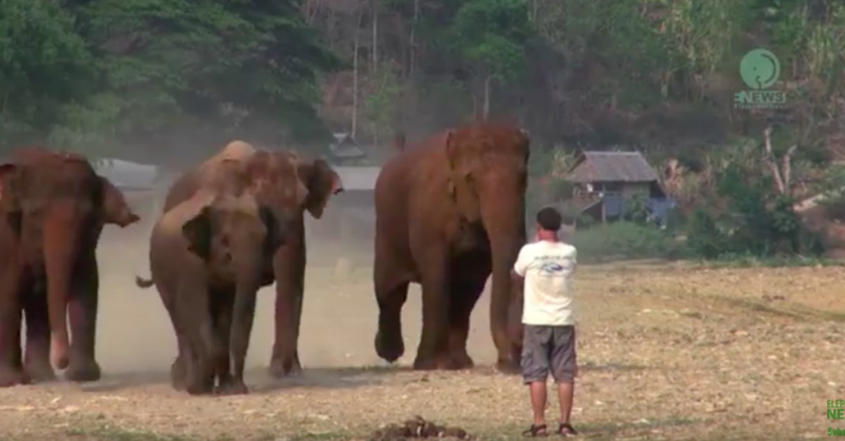 grito en la selva foto1