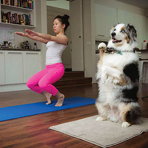 Animales yoga 17