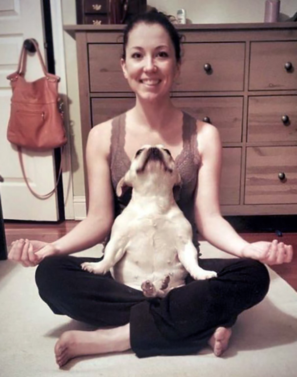 Animales yoga 8