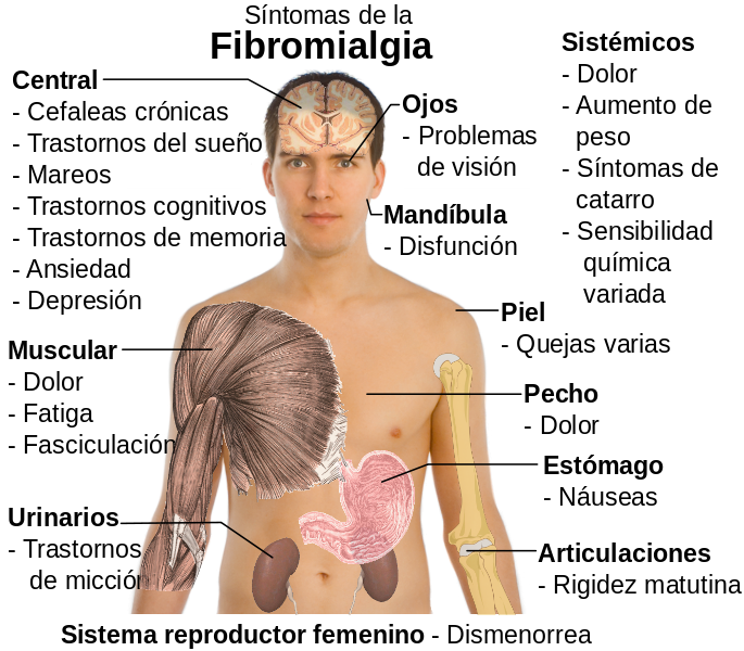 enfermedad-emociones-1