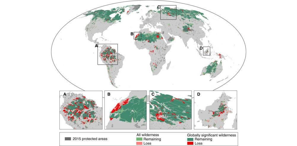 humanos-destruyen-bosques-vrgenes-5