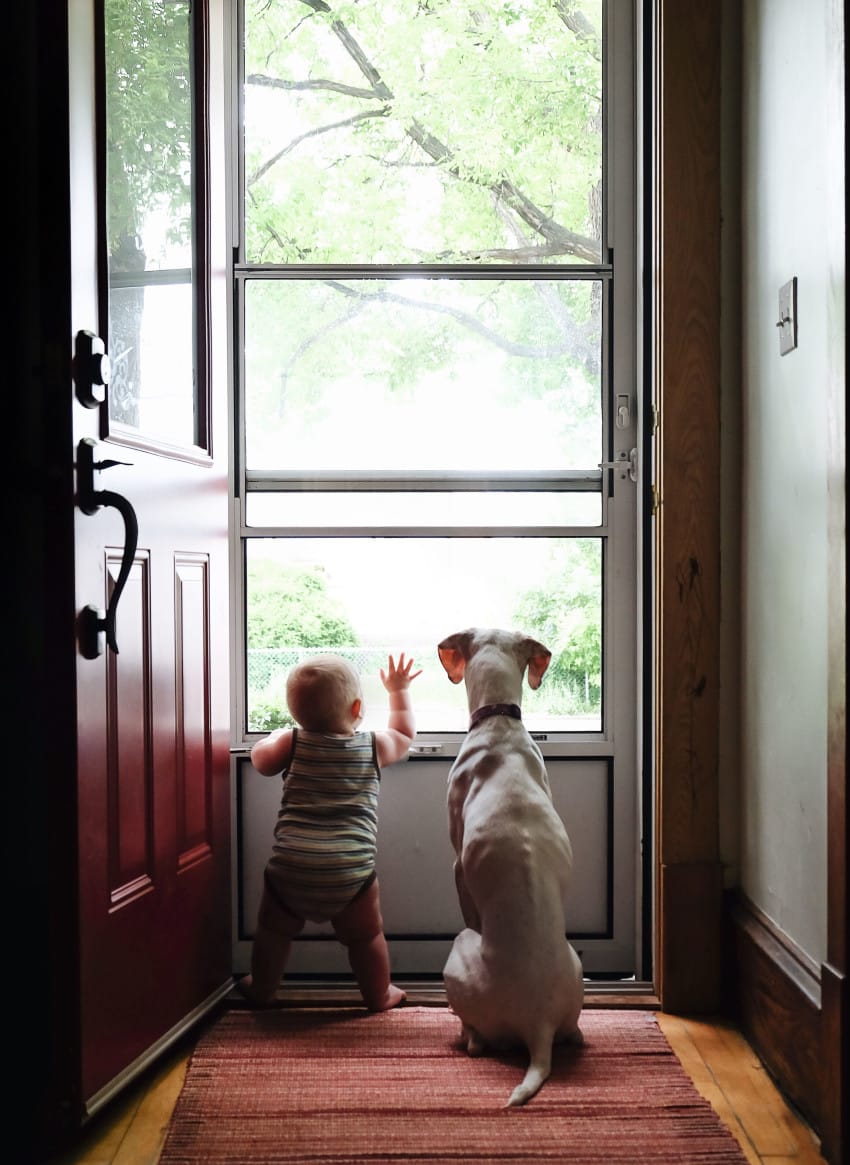 PIC BY Elizabeth Spence/CATERS NEWS (Pictured: Archie chilling with his dog friend Remington) - These heart-warming snaps of a tiny baby snuggled up to the family dog will melt your heart. Little Archie Spence regularly drifts off clutching a teddy bear and nuzzled into his English Pointer bedside buddy Nora. Mum Elizabeth Spence from Manitoba, Canada, caught the adorable pair on camera whiling the hours away and posed them up in a variety of hilarious matching poses including holding lightsabers, dolls and teddies. Elizabeth, 43, said: I thought it would be fun to document and share these daily love fests to show how awesome rescue dogs are. SEE CATERS COPY.