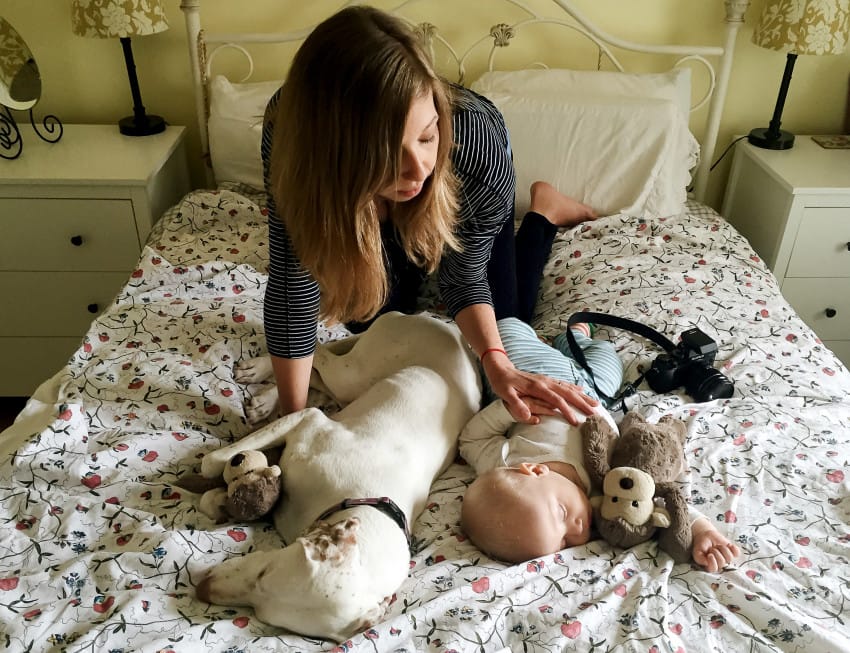 PIC BY Michael Aporius/CATERS NEWS (Pictured: Elizabeth Spence creating the scene of her photos with her son Archie and her dog Nora) - These heart-warming snaps of a tiny baby snuggled up to the family dog will melt your heart. Little Archie Spence regularly drifts off clutching a teddy bear and nuzzled into his English Pointer bedside buddy Nora. Mum Elizabeth Spence from Manitoba, Canada, caught the adorable pair on camera whiling the hours away and posed them up in a variety of hilarious matching poses including holding lightsabers, dolls and teddies. Elizabeth, 43, said: I thought it would be fun to document and share these daily love fests to show how awesome rescue dogs are. SEE CATERS COPY.