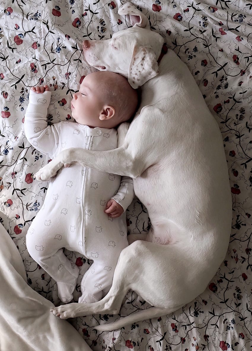 Baby and dog sleeping buds