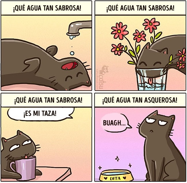 comics-gato-1