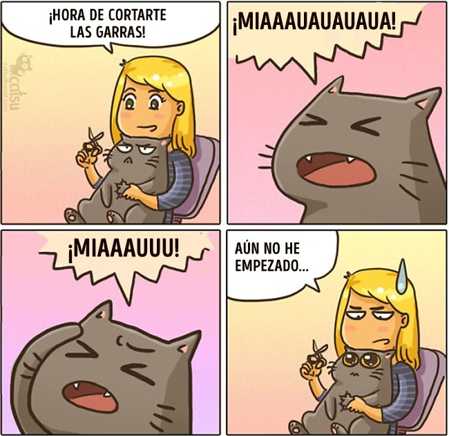 comics-gato-10