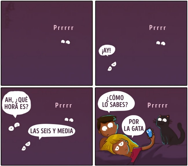 comics-gato-13