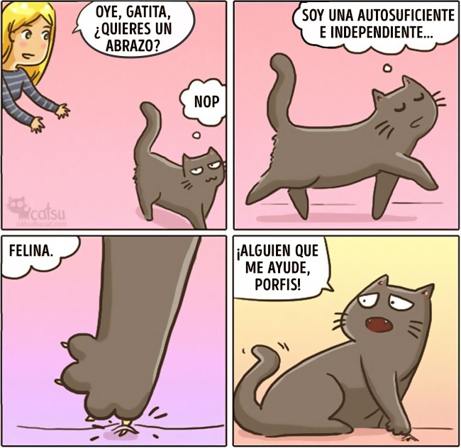 comics-gato-14