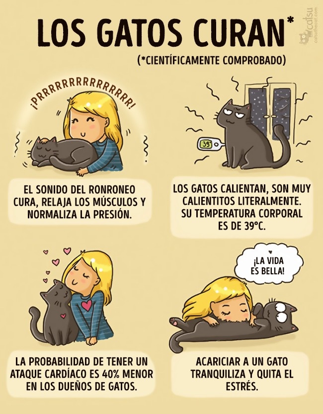 comics-gato-16