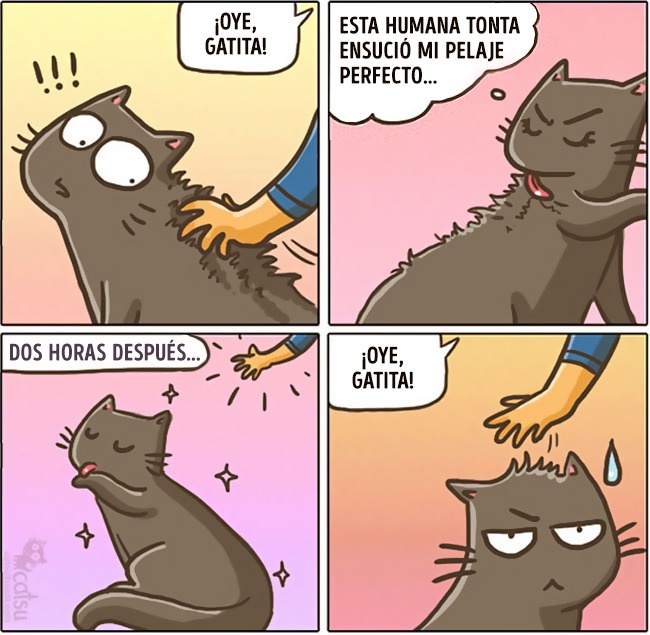 comics-gato-17