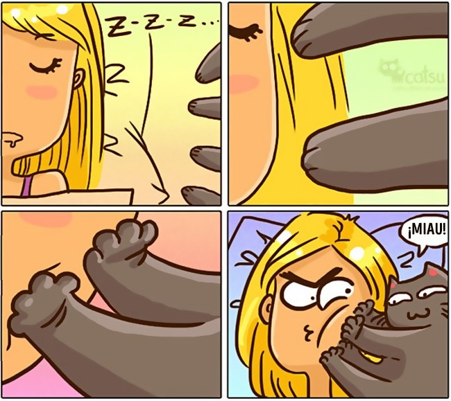 comics-gato-19