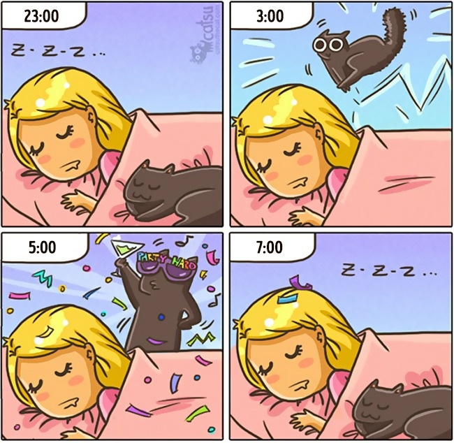 comics-gato-2