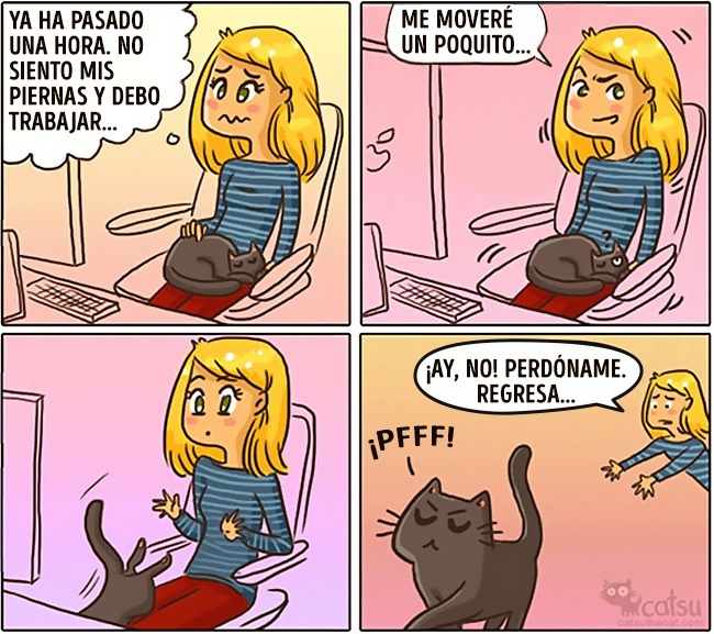 comics-gato-3