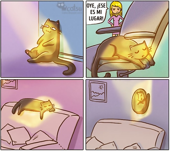 comics-gato-4