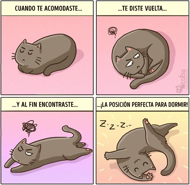 comics-gato-8